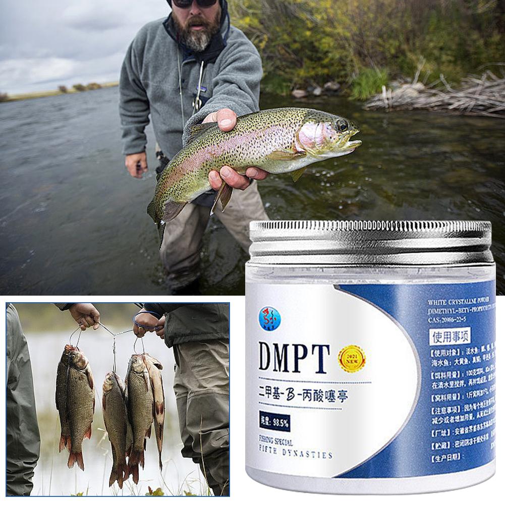 Fishing Equipment For Sale - 50g real dmpt isca de pesca