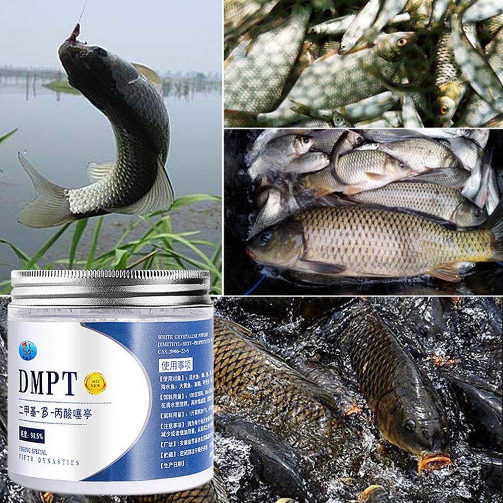 50g real dmpt isca de pesca de - Fishing Equipment For Sale avaliação e preço